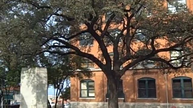 Dealey Plaza 2 смотреть онлайн
