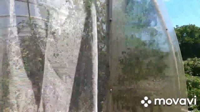ДОМ НА ЮГЕ / Краснодарский край/ Баня, сад/ 15 соток/ Цена 2 млн. 600 т.₽