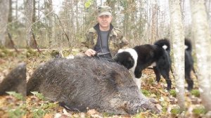 "Уроки в лесу" "Лайка и её натаска" Белоусов В.И