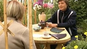 Сад в японском стиле. Советы ландшафтного дизайнера