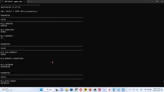 율곡선생 76기 11강 oracle 오라클 날짜타입, 날짜를 저장하는 형식, 동적성능뷰, Dynamic Performance View, v$nls parameters