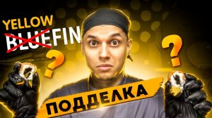 ОБЗОР ДОСТАВКИ YELLOWFIN !!! ПОДДЕЛКА ИЛИ ХОРОШИЕ РОЛЛЫ???