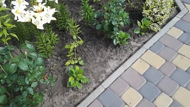 МЕНЯ ЭТО НЕ КОСНЕТСЯ---КАК РАЗОРВАТЬ КРУГ??? смотреть онлайн