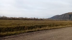 Когда бывает бабье лето. В какое время бабье лето