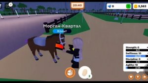 играем в игру про лошадей в роблоксе |roblox|