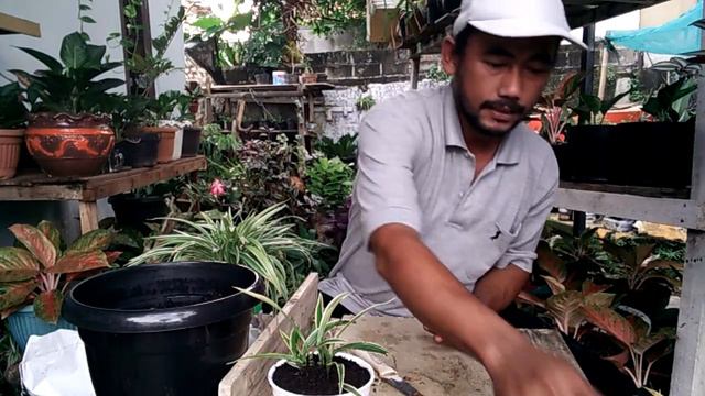 LILI PARIS DI POT KECIL CANTIK SEKALI смотреть онлайн