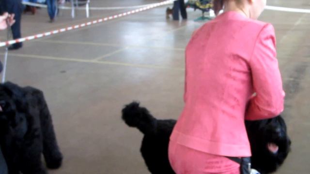 MVI 1281 смотреть онлайн