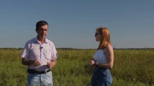Все про люцерну