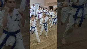 Аттестация по Кудо 5 ученическая степень 6кю (Егор)