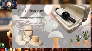 ???? CURSO DE CULTIVO DE REISHI | Aprende a cultivar Ganoderma lucidum con nosotros