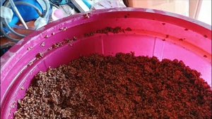 Домашнее производство вина в Молдавии....