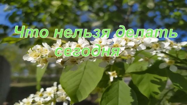 24 мая.ДЕНЬ КИРИЛЛА.Что можно и нельзя делать