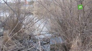 Собственники участков в СНТ "Мичуринец" беспокоятся, что в Карповом пруду сильно упал уровень воды