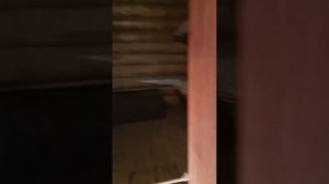 Тальцы музей деревянного зодчества Иркутск архитектура дом из дерева сруб изба озеро Байкал туризм