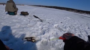 НАШЛИ ОКУНЯ И СРАЗУ ОБУРИЛИ.ЭТО КАПЕЦ)))))) зимняя рыбалка на томи.Юрга (острова/аквариум)