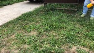 Сорняки на участке: как убрать за 1 минуту своими руками! Смотри тут!