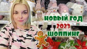 НОВОГОДНИЙ ШОППИНГ! Новый год 2023/Цены и ассортимент HOFF