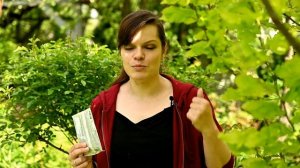 Стимуляторы роста растений - какие эффективны, а какие нет / Что делать, если роза не растет