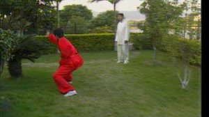 Тунбей семьи Ци - 12 техник с захватом