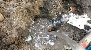 САЖАЮ ОГУРЦЫ ПО НОВОМУ,ЧТО Я ДОБАВИЛА В ЛУНКИ ПРИ ПОСАДКЕ.ОГУРЦОВ БУДЕТ МОРЕ, ДА ЕЩЕ И ХРУСТЯЩИЕ.