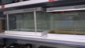 Новинка - аквариумы Prime из стекла Optic White