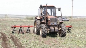 Культиватор междурядный пропашной КМ 5,6 (Велес-Агро)