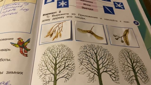 Окружающий мир/2 класс/Плешаков/Рабочая тетрадь часть 1/стр.82/13.01.21 смотреть онлайн