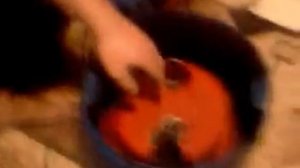 Авафильтр для пылесоса Томас часть 1