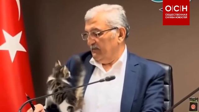 Котёнок залез на ручки к мэру турецкого города