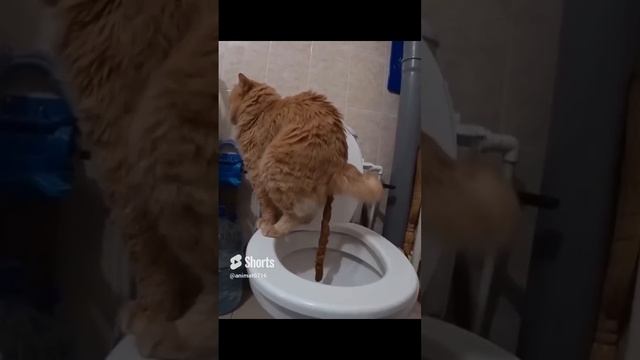 юмор #смех #приколы #смешно #прикол #ржака #мемы #мем #смехдослез #жиза