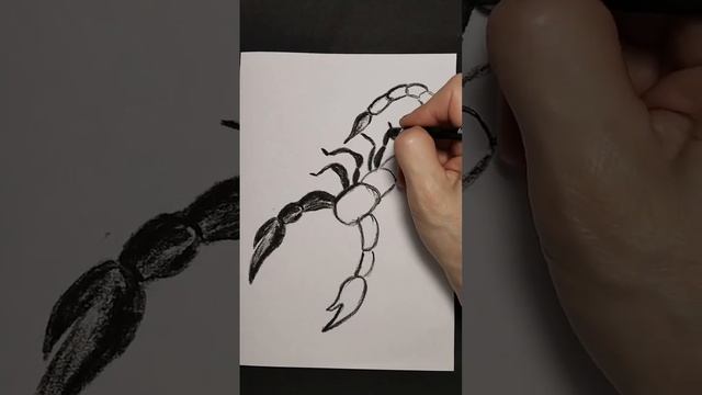 Как легко нарисовать скорпиона. Easy drawing of a cartoon scorpion.#speedpaint