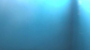 Электрический лифт V=1 м-с, грузоподьемность 400 кг (1131)