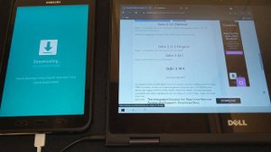 How to flash Samsung Tab Active2 | Android 9 | Odin3 | Win 10 #FlashingTab  #TabActive #SamsungTab