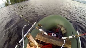 Рыбалка в Карелии Ловля крупного окуня