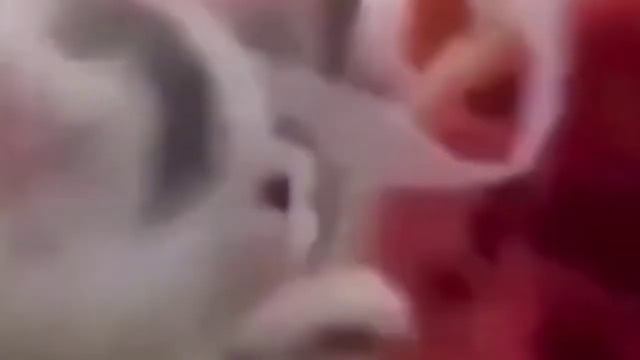 Всем привет, с вами я, - Джокер Виктор Дудка, МУХАХАХХА смотреть онлайн