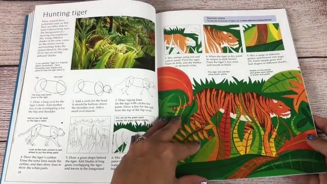 A Look Inside the Usborne Art Ideas Drawing Animals Book смотреть онлайн
