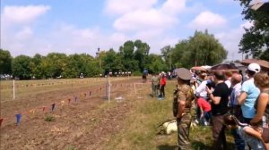 ст Старочеркасская конно спортивные соревнования часть 1 17 08 2019г Аксайский район Ростовской обл