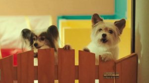 Хвостатый переполох — Русский тизер-трейлер (2024)