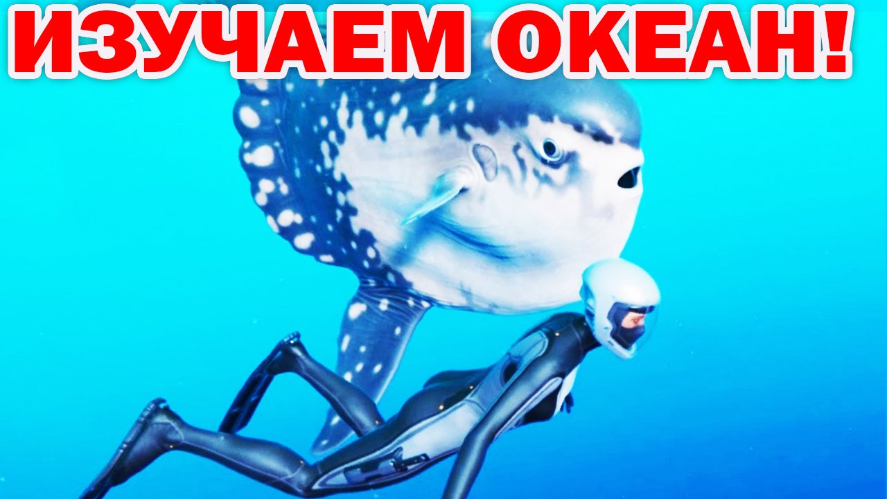 КАШАЛОТЫ И МОРСКИЕ ЗВЕЗДЫ! ПОДВОДНЫЙ МИР ОКЕАНА!  Beyond Blue! 2 - СЕРИЯ
