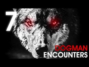 7 HORRIFYING TRUE DOGMAN ENCOUNTERS FT ZAKBABYTV (Werewolfs, Dogman) - What Lurks Beneath