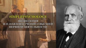 Физиология. И.П. Павлов и учение о высшей нервной деятельности.