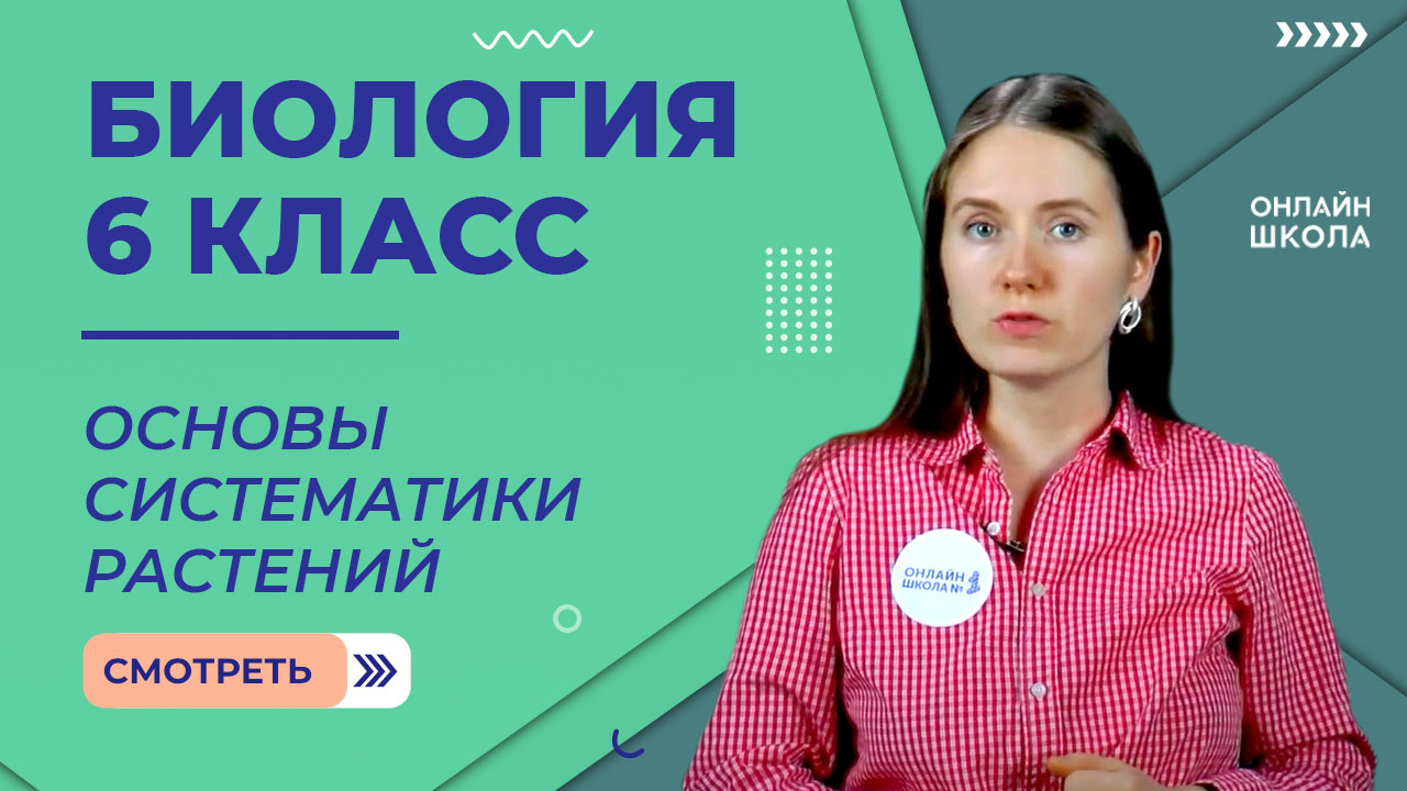 Основы систематики растений. Видеоурок 28. Биология 6 класс