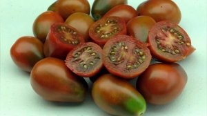 6 лучших кистевых томатов для теплиц и открытого грунта [гроздевые томаты]