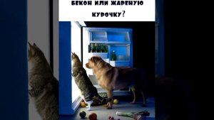 Это не пузико это гравитация #мем Смешные Котики / картинки с надписями #приколы с озвучкой ?