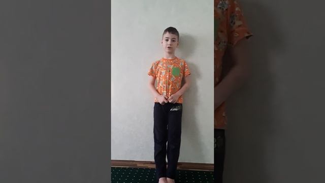 Пересказ С.Лагерлеф Чудесное путешествие Нильса с дикими гусями смотреть онлайн