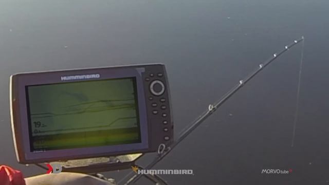 Siluro Invernale con Andrea Morvillo e Helix 9 Chirp Msi+ Gps G4n смотреть онлайн