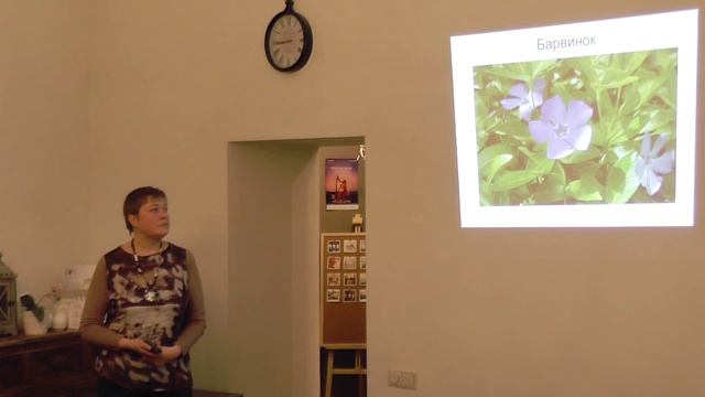 Цветник в тени - часть 2. уДачные советы смотреть онлайн