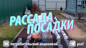 посадки рассада юмор прикол