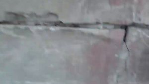 Внутренний Шрус заз вида