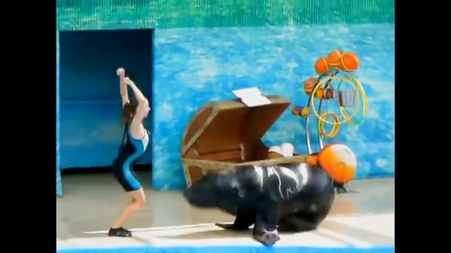 Румба с морским львом смотреть онлайн